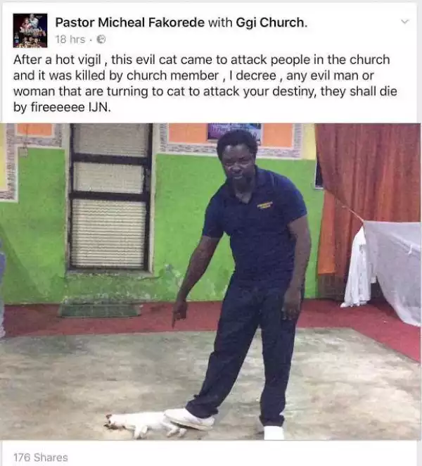 Nigerians blast Bisi Alimi after he blasted pastor who said evil cat came to attack his members